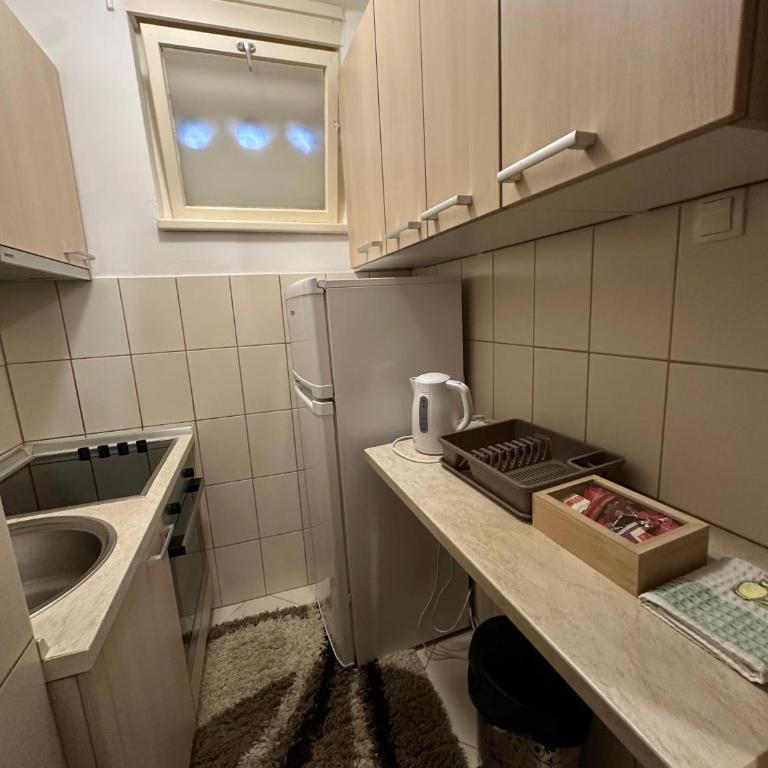 Apartment Teta - Apartman sa 1 Spavaćom Sobom - 13