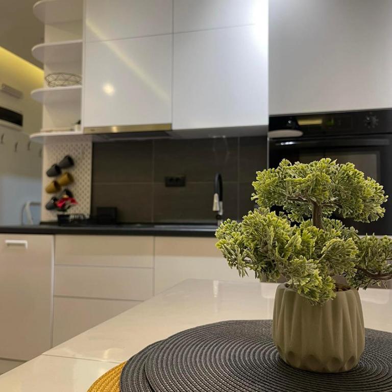 Tontic Lux Residence Hill 54 - Studio Apartment - 12