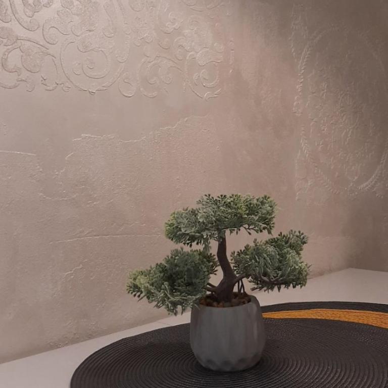 Tontic Lux Residence Hill 54 - Studio Apartment - 14