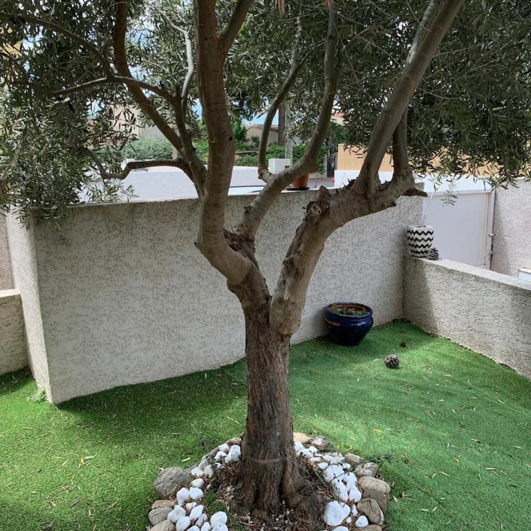 Villa bord de mer au Grau d 'Agde 140 m2 - Three-Bedroom Villa - 29