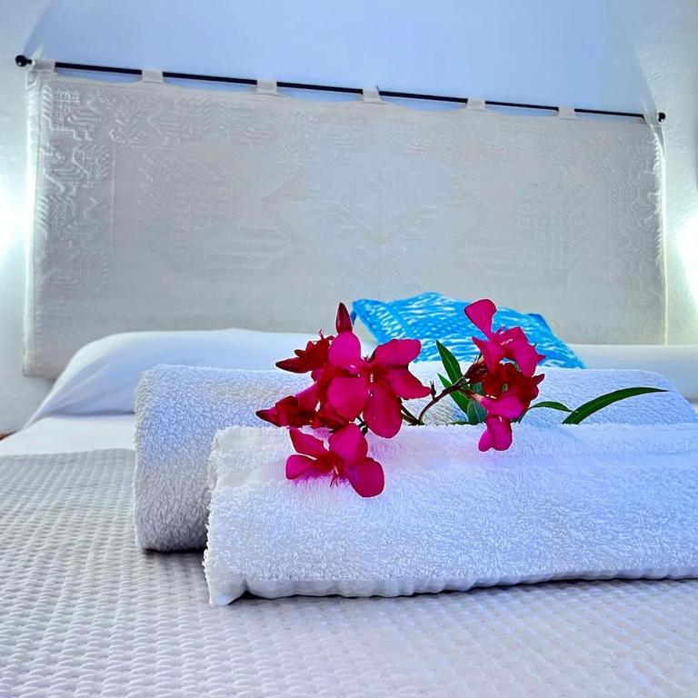 Rosso Lilu' Casa con vista mozzafiato sulla Pelosa - Appartamento con 2 Camere da Letto e Vista Mare - 16