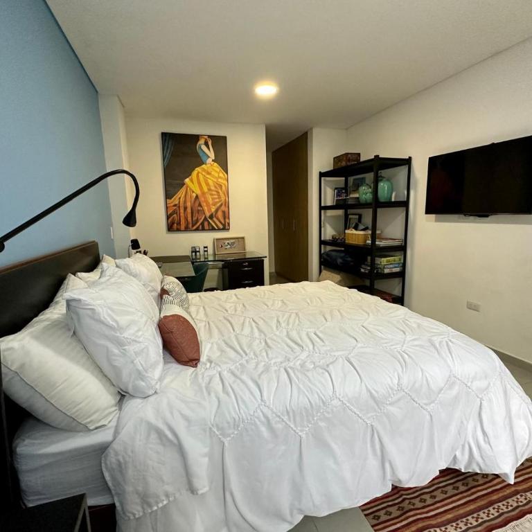 Apartamento Entero 101 - Apartamento de 1 dormitorio - 2