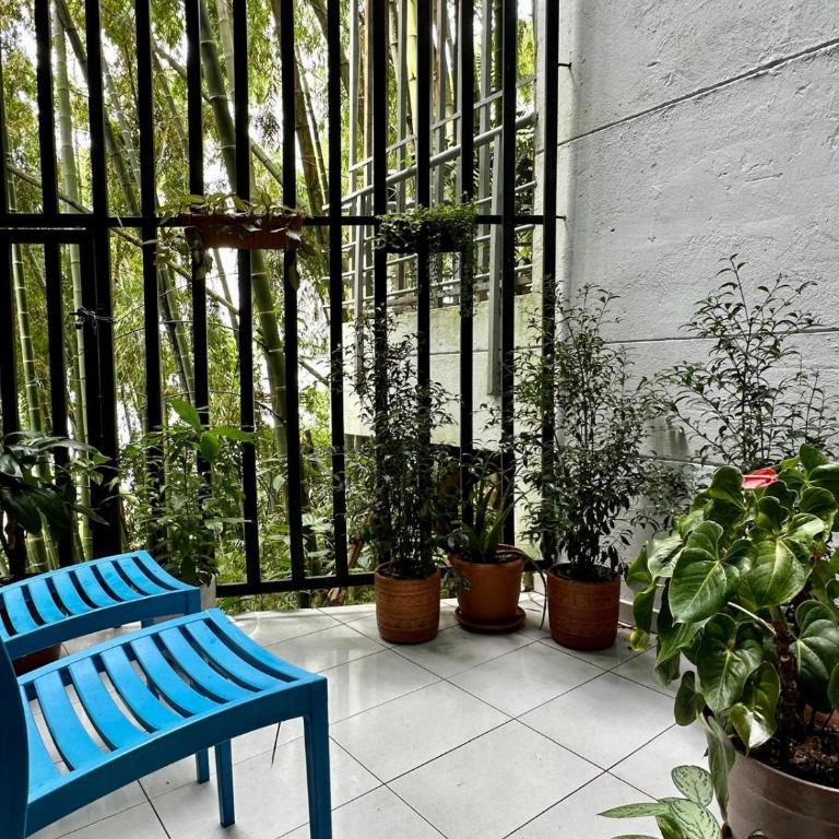 Apartamento Entero 101 - Apartamento de 1 dormitorio - 19