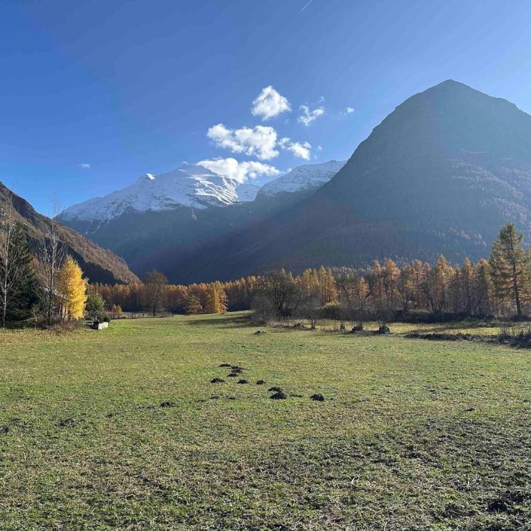 Les Greppes - Chalet - 10