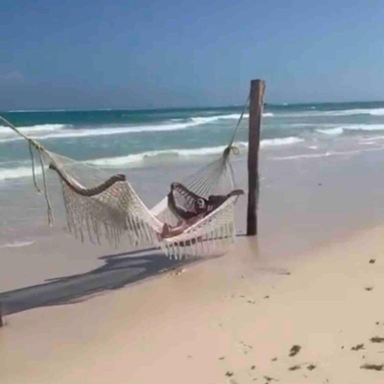 Villa G , villa With palapa in Tulum - Villa - 59