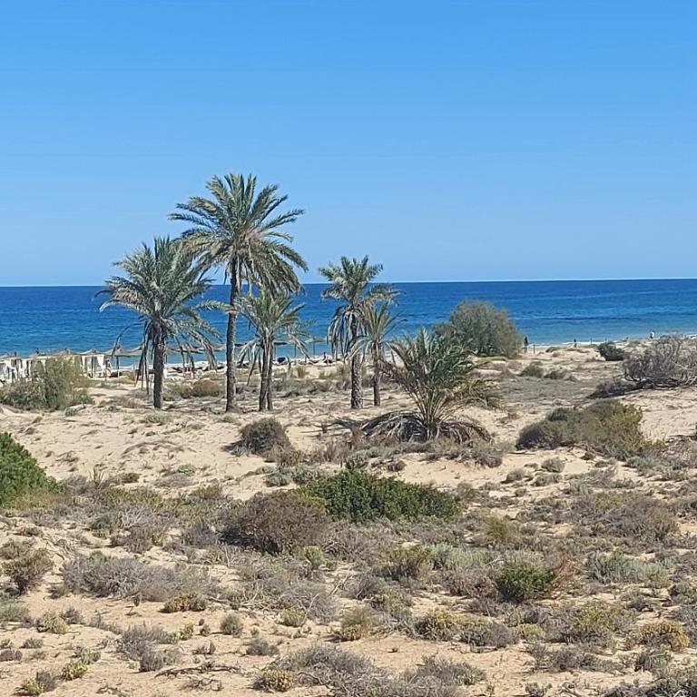 Arenales Sea View Apartment - Apartamento de 1 dormitorio - 37