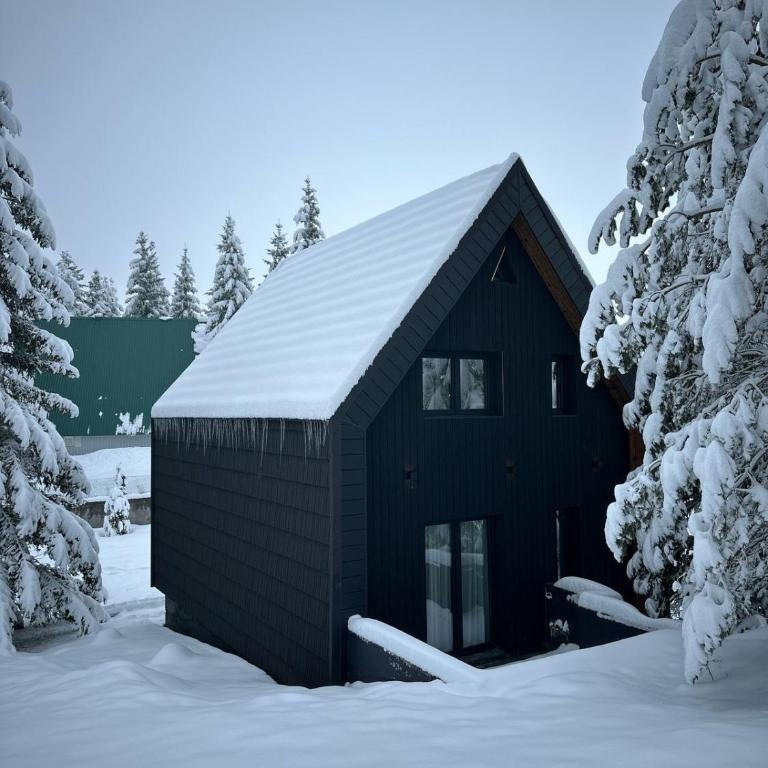 Black Chalet - Two-Bedroom Chalet - 33