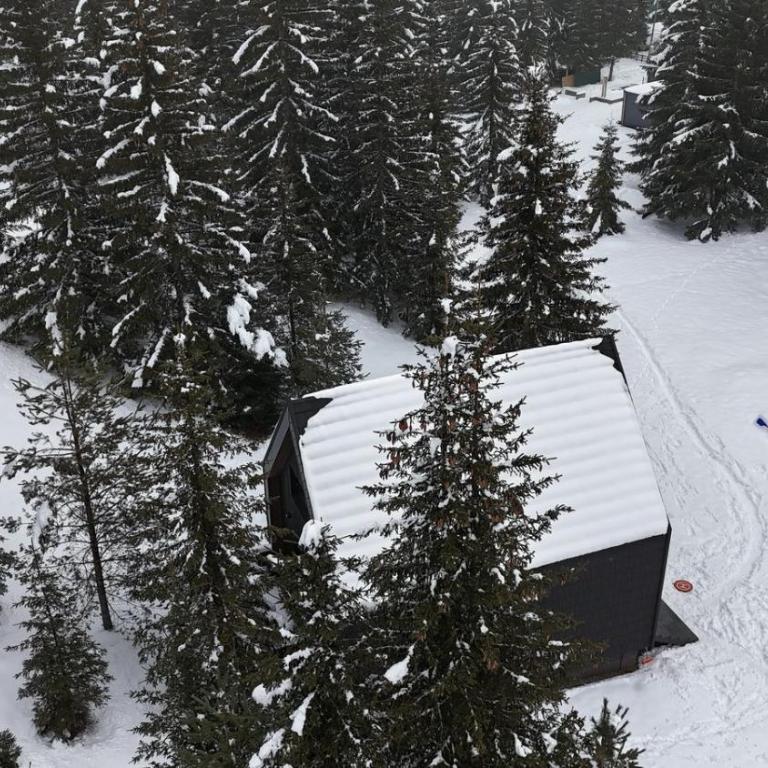 Black Chalet - Two-Bedroom Chalet - 34