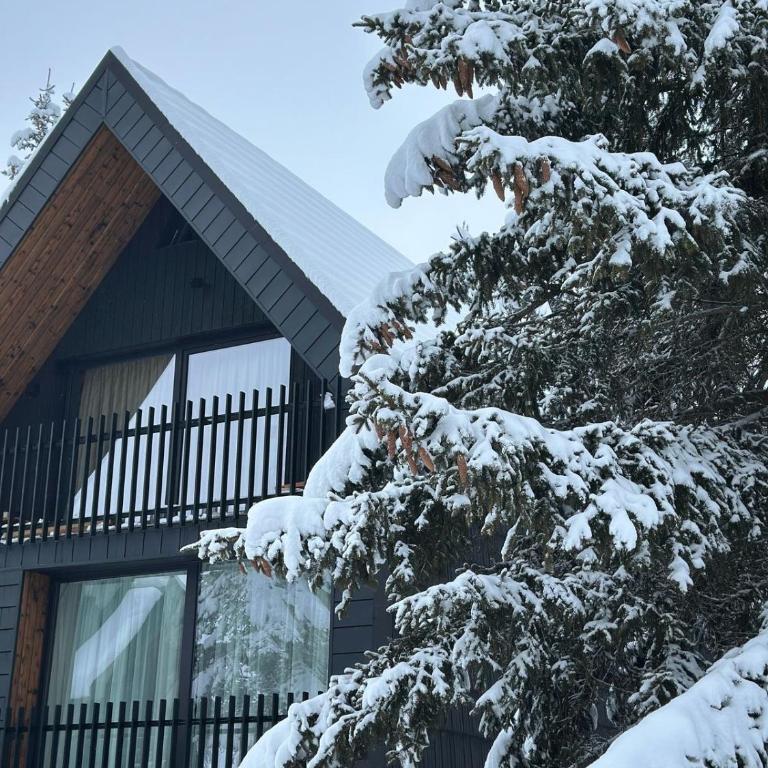 Black Chalet - Two-Bedroom Chalet - 37