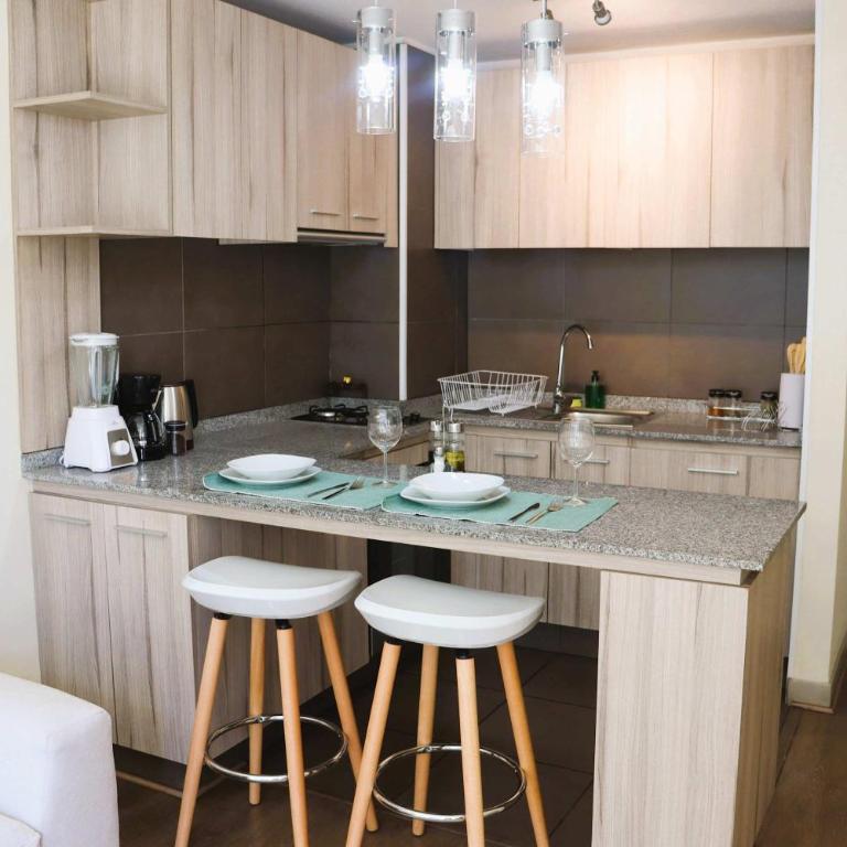 HOM I Centrico Dpto 1D1B 2PAX Eleuterio Santiago - Apartamento - 33