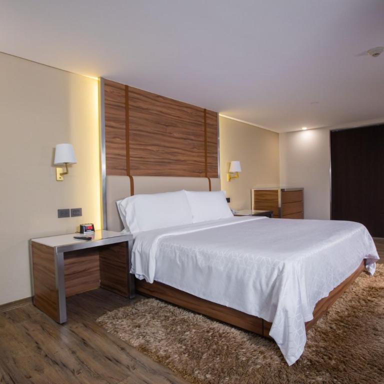 Holiday Inn Mexico Zona Centro by IHG - Habitación Estándar - Cama extragrande - 5