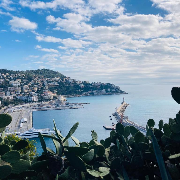 Amber Apartment Nice - Central Highlights and Beach - Appartement 1 Chambre Supérieur - 100