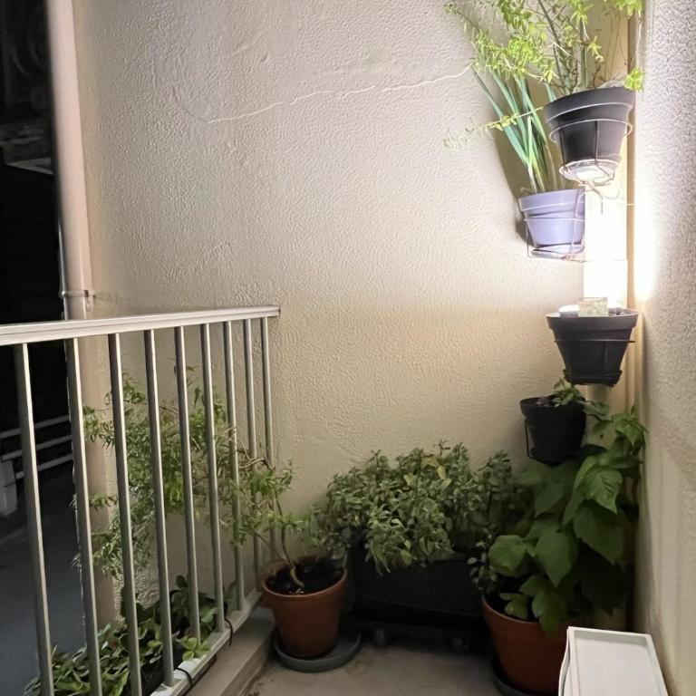 Vue mer, balcon, 50m plage & village, au calme - centre ville historique, 2P pour 4 maximum - Appartement 1 Chambre - 29