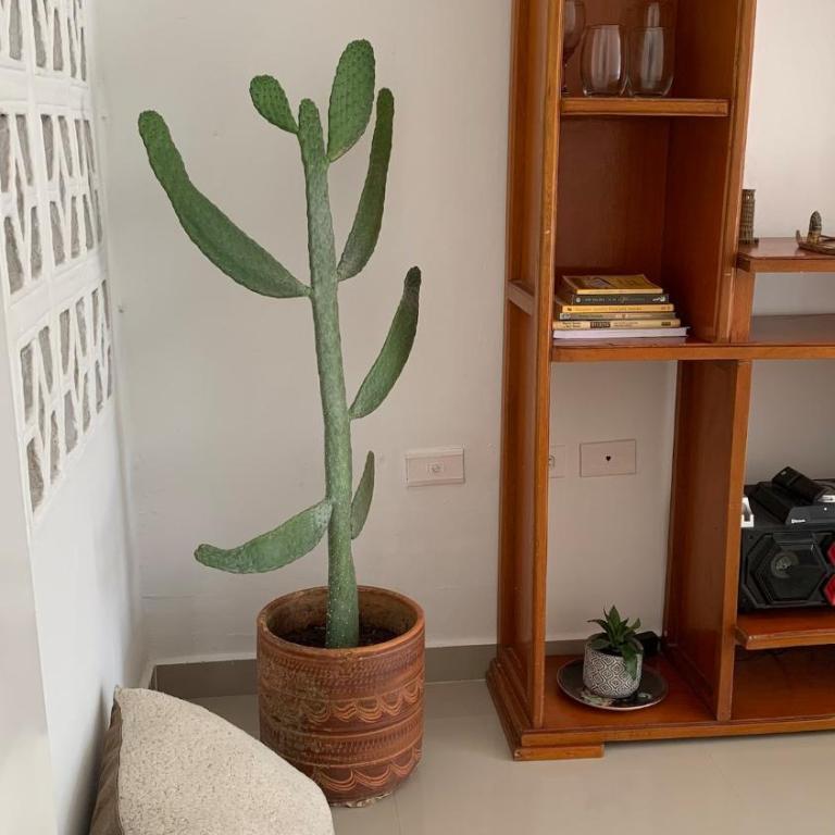 Apartamento Barranquilla en Ciudad Jardin - Apartamento de 2 dormitorios - 3