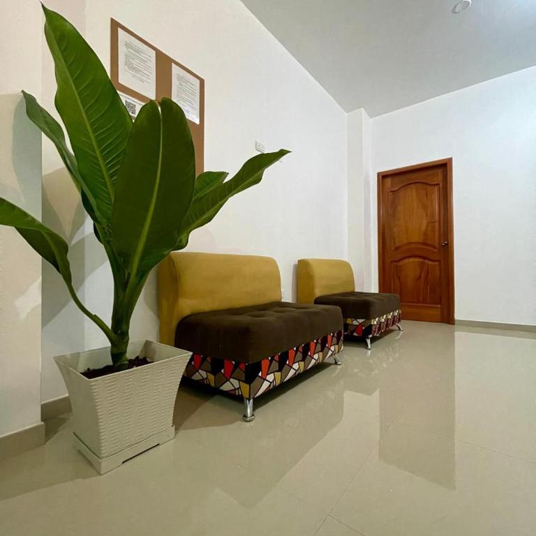 Darwin's Hideaway - Apartamento de 1 dormitorio - 3