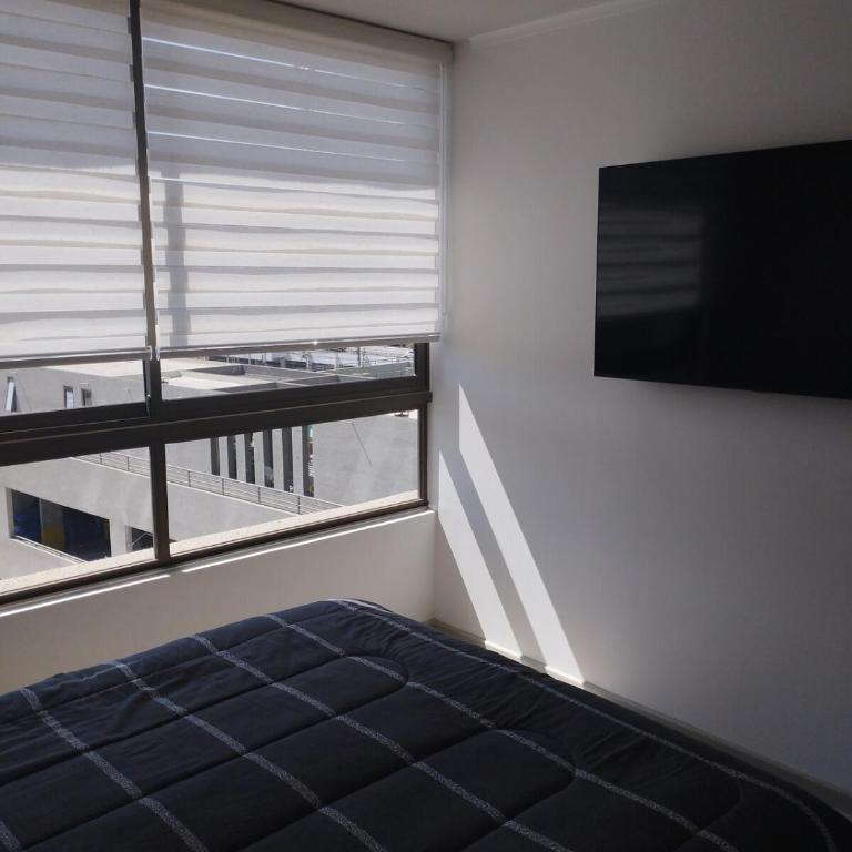 Amplio y cómodo Departamento - Apartamento de 3 dormitorios - 8