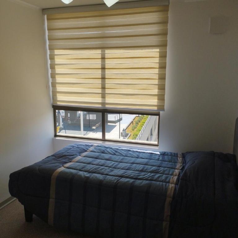 Amplio y cómodo Departamento - Apartamento de 3 dormitorios - 10