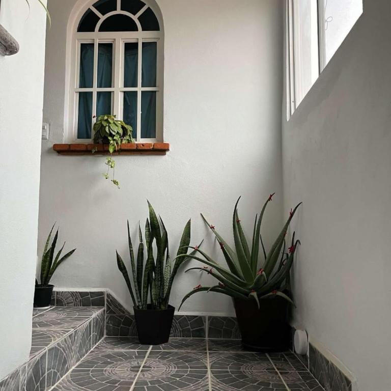 Casa los niños - Apartamento de 1 dormitorio - 11