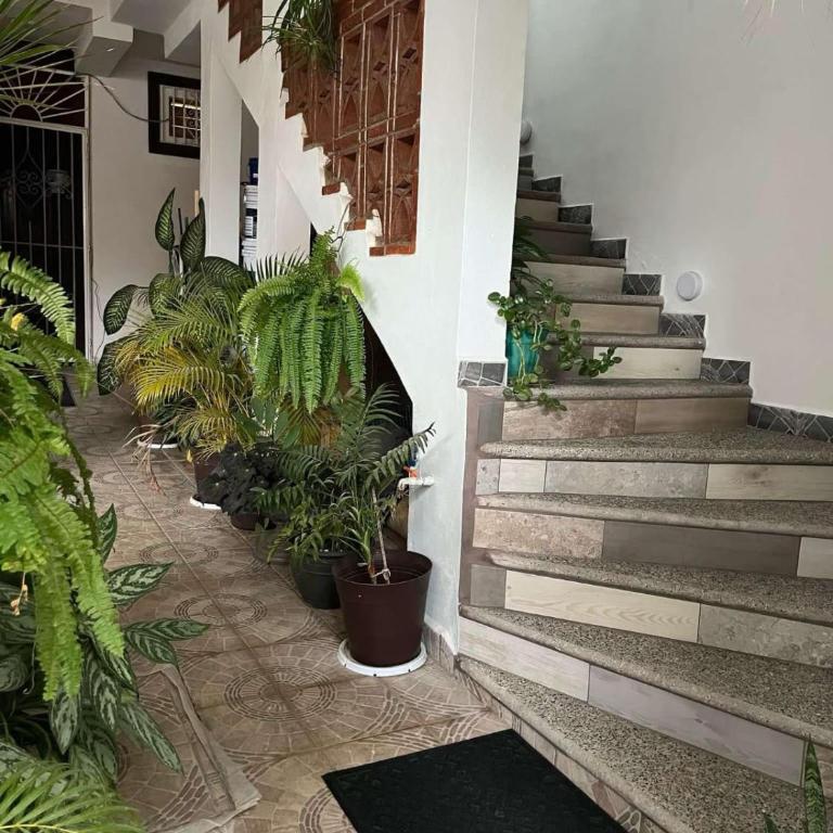 Casa los niños - Apartamento de 1 dormitorio - 12