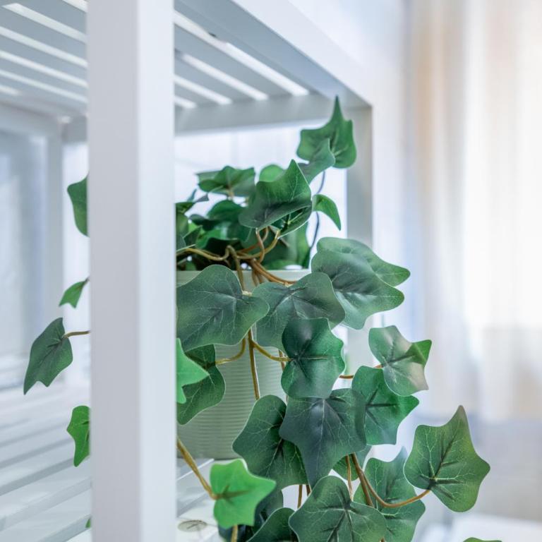 Rentwin - Appartamento con parcheggio centro di Pisa - Appartamento con 1 Camera da Letto e Balcone - 30