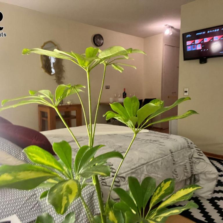 Acogedor Home Studio M Santa Lucia - One-Bedroom Apartment - 6