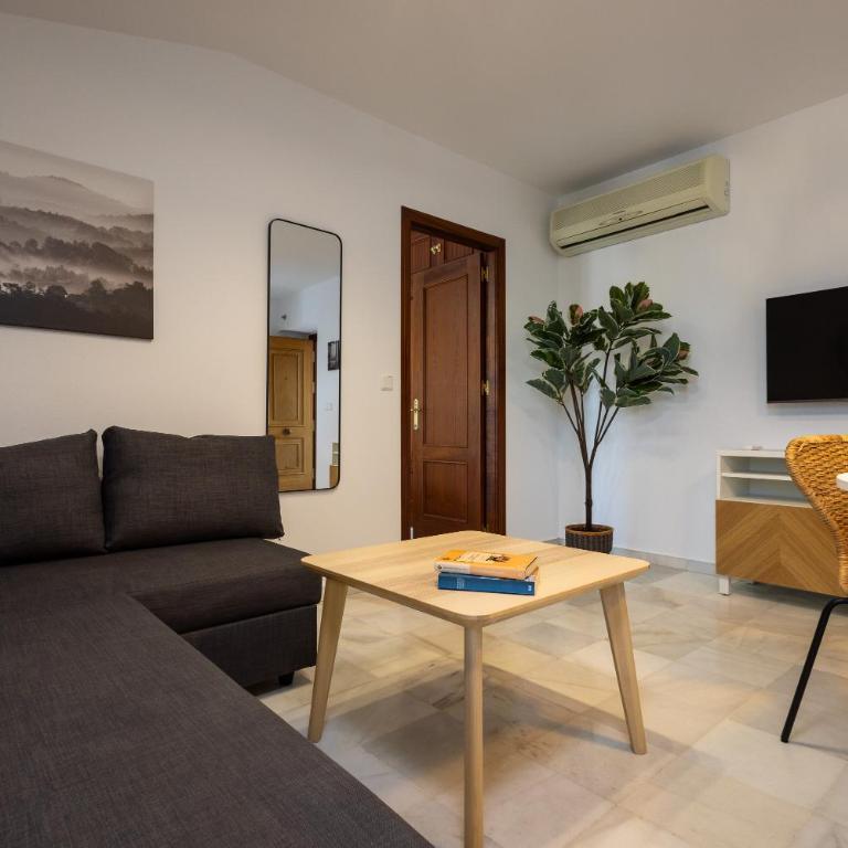 Casa Palacio Luna - Apartamento Superior de 1 dormitorio - 7