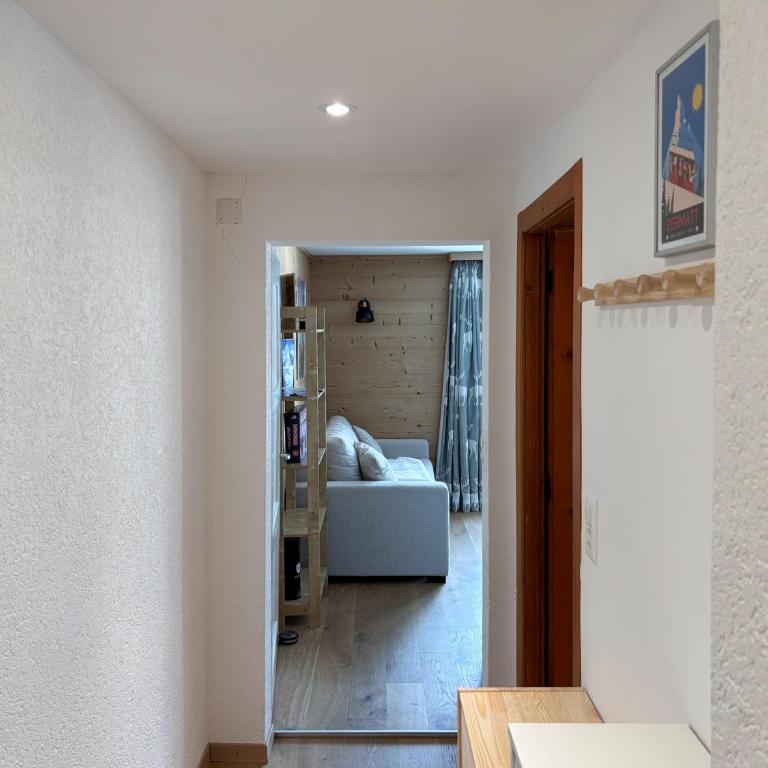 Flat with magnificent views of the Matterhorn - Apartment mit 1 Schlafzimmer - 8