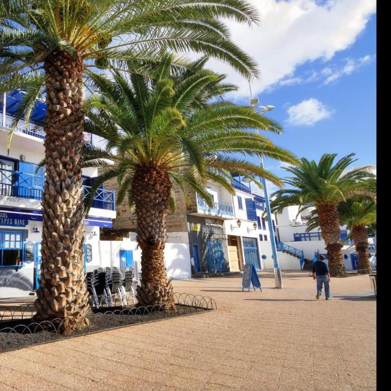 VV Charco Lake Studio By PVL - Apartamento Estándar de 1 dormitorio - 17
