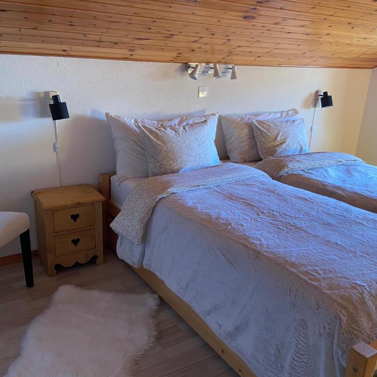 APPARTEMENT DE CHARME EN ATTIQUE dans UN PETIT CHALET - Appartement 2 Chambres - 2