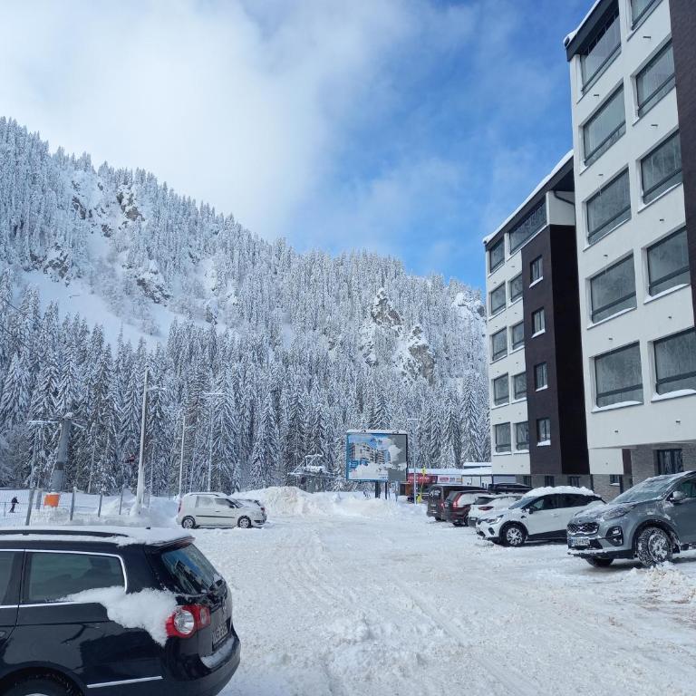 Apartman Winter night Snježna dolina - One-Bedroom Apartment - 2