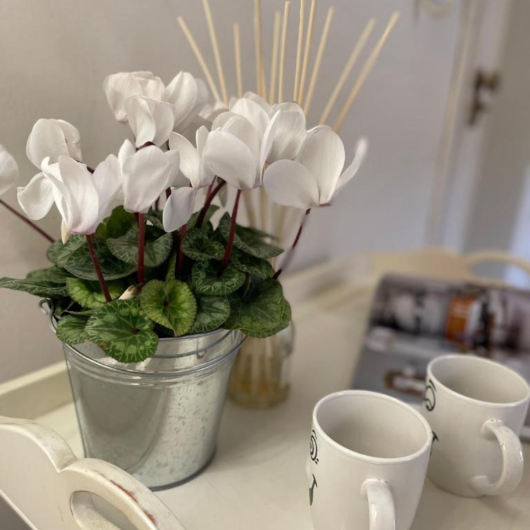 Charming Studio next to the Duomo - Appartamento con 1 Camera da Letto - 25