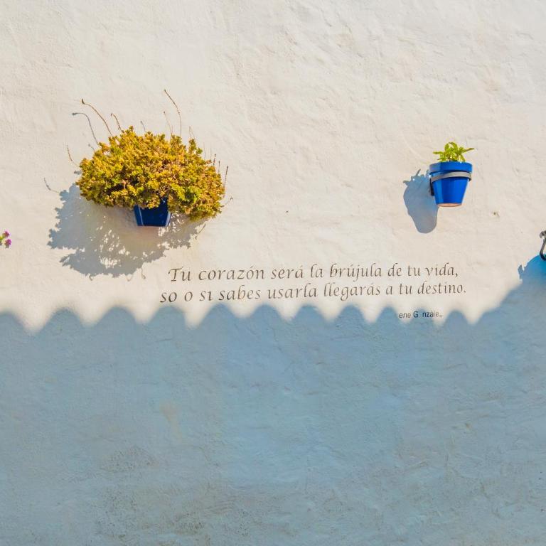 Seaview 3-Bed Flat with 2 Terraces Mijas Pueblo - Apartamento de 3 dormitorios - 57