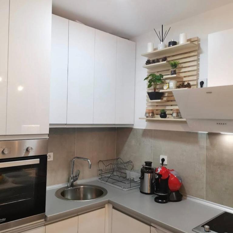 Silver Star Zlatibor - Apartman sa 1 Spavaćom Sobom - 15