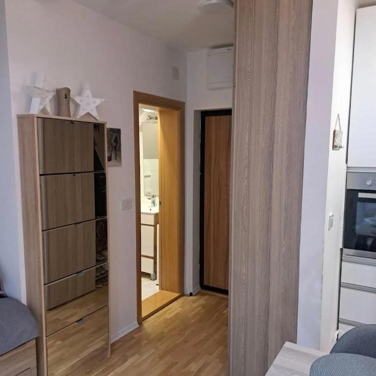 Silver Star Zlatibor - Apartman sa 1 Spavaćom Sobom - 13