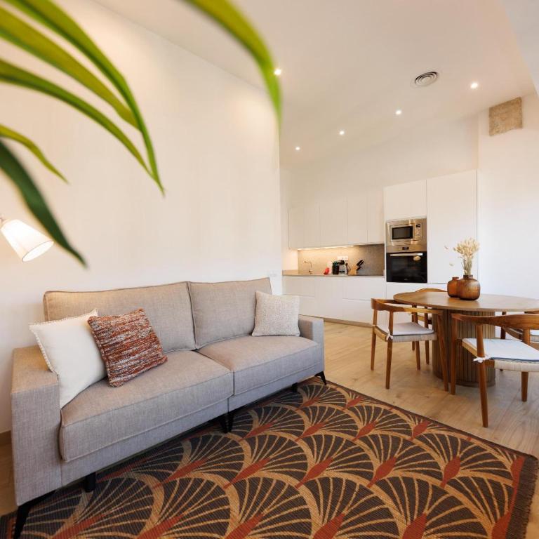 Bravissimo Pont Sant Agusti, Monthly Apartments - Apartamento Deluxe de 2 dormitorios - 14