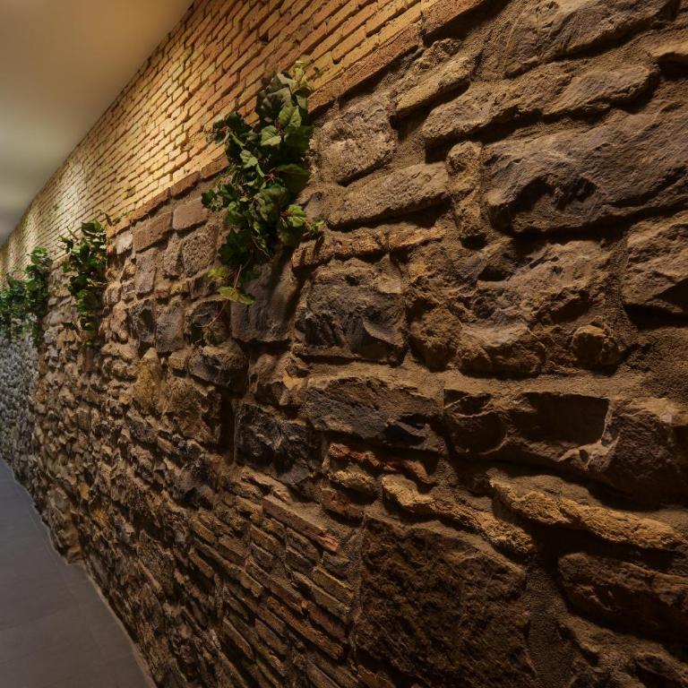 Curia 18 by Clabao - Apartamento - 18