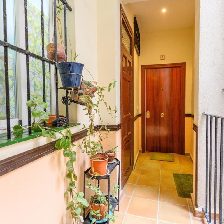TEMPORAL apartment 1 bedroom flat a few metres from the city centre AMA2721 - One-Bedroom Apartment - 18