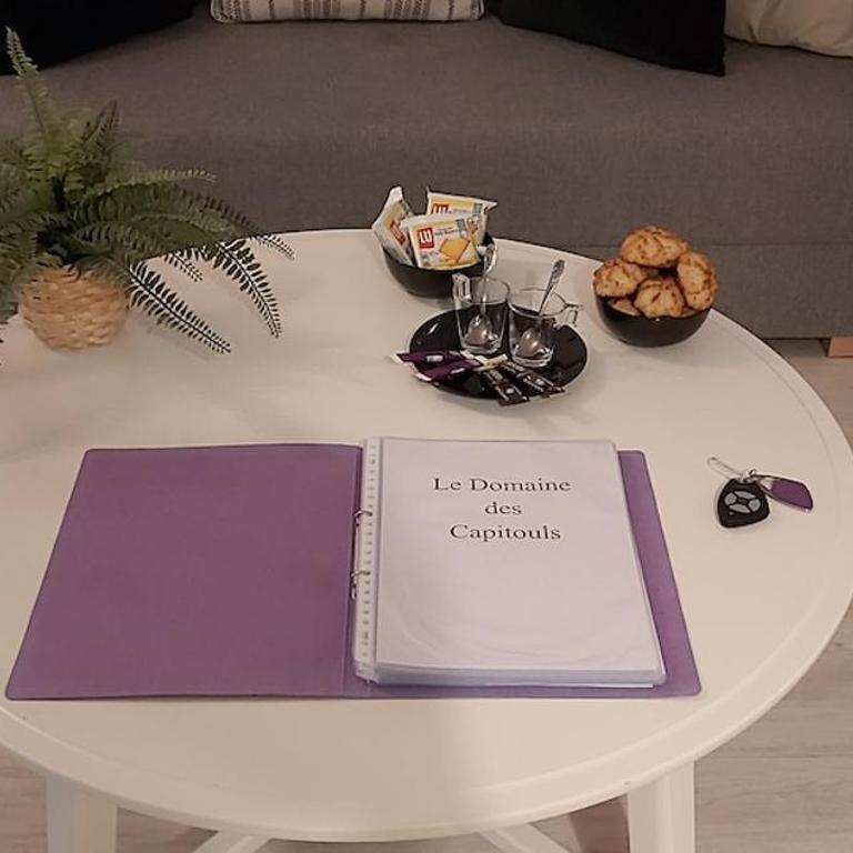 Les Capitouls - entrée autonome, clim neuve, jardin, parking privé - - Apartment - 29