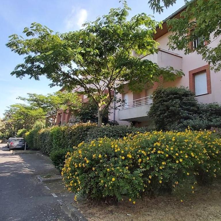Les Capitouls - entrée autonome, clim neuve, jardin, parking privé - - Apartment - 34