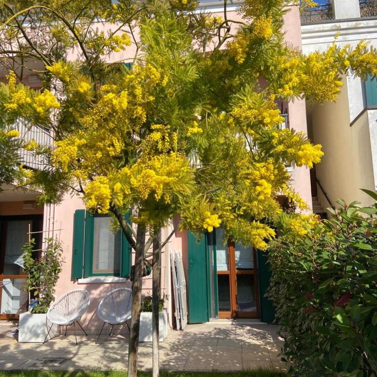 Appartamento Laguna - Casa con 2 Camere da Letto - 2