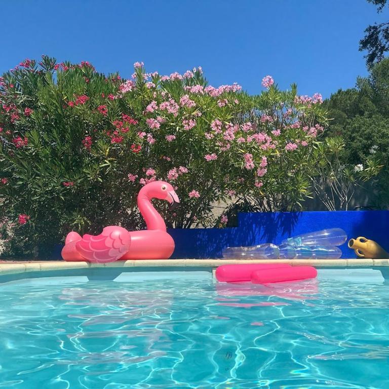 Carcassonne Lake & Beach, Pool villa - Villa - 19