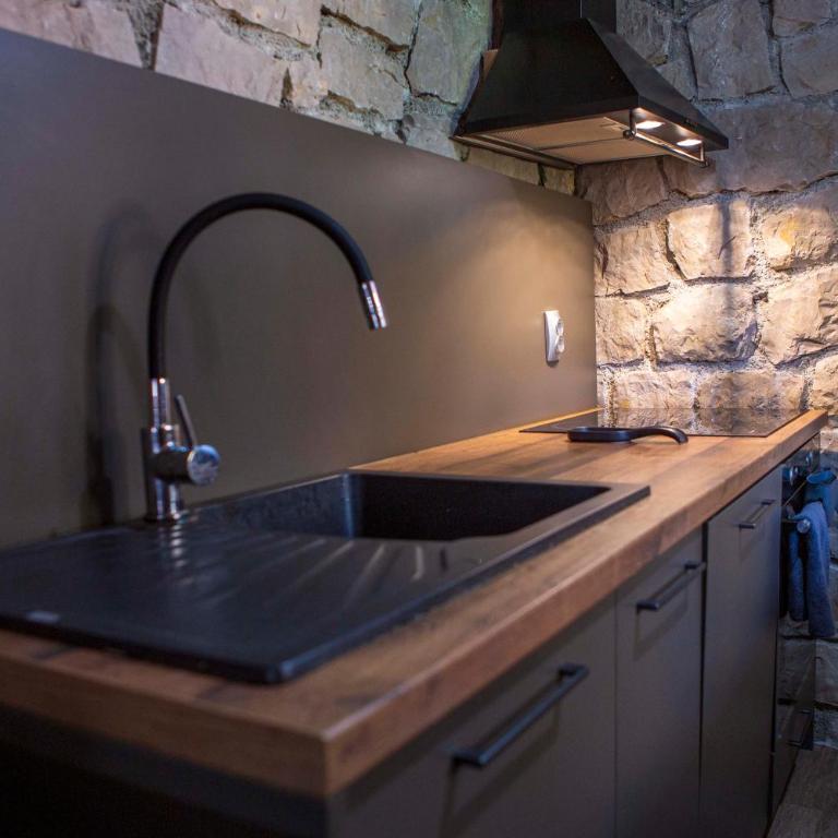 Vucje Brdo in Kolasin - Apartman sa 1 Spavaćom Sobom - 13