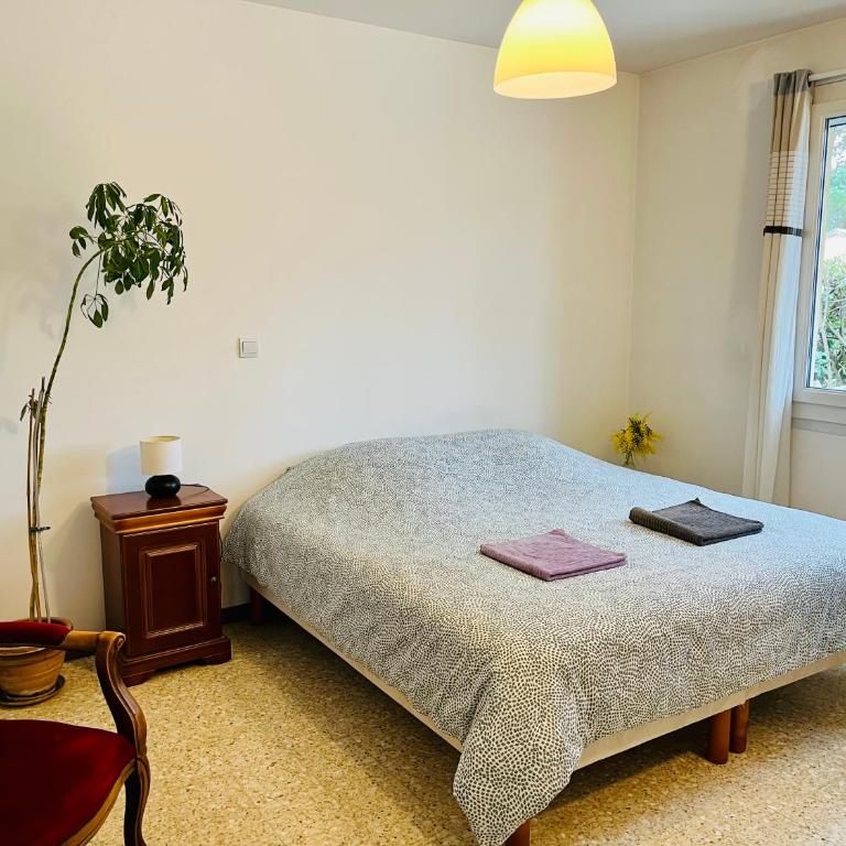 House with nice garden, downtown by walk - Appartement 2 Chambres - 10
