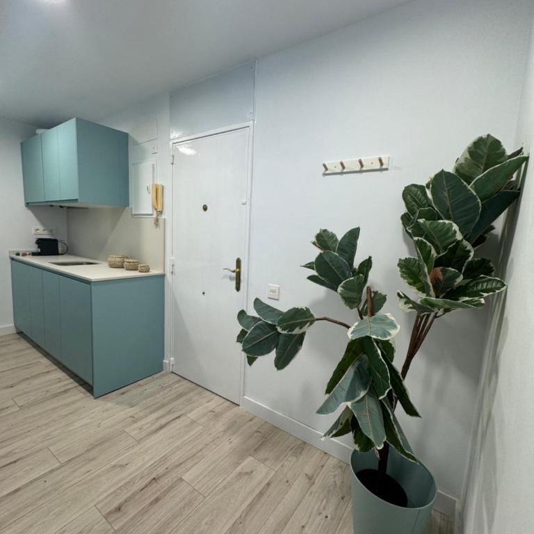 Oasis 29 - Apartamento de 2 dormitorios - 4