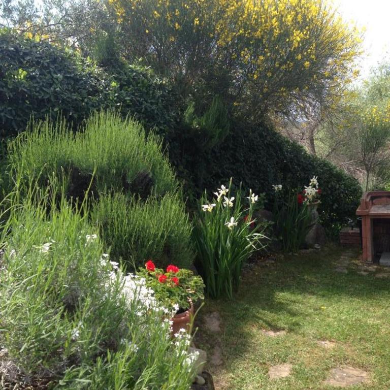 Casa Viola Pool, Wifi, Montaione - Casa con 3 Camere da Letto - 8
