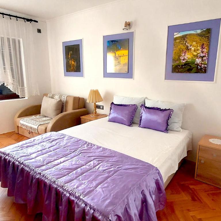 Apartmani HARMONIJA - Sokobanja - Studio with Pool View - 1