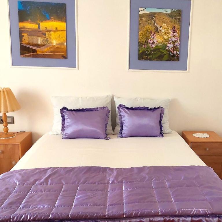 Apartmani HARMONIJA - Sokobanja - Studio with Pool View - 2