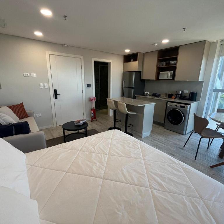 Fabulous apartment in the best area of Asuncion - One-Bedroom Apartment - 11