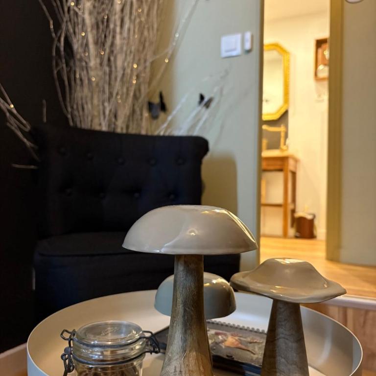 Votre expérience insolite - Clair de lune - Appartement 1 Chambre - 6