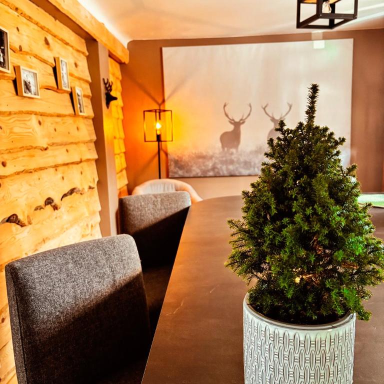 La Cabane de Marie - Appartement 1 Chambre - 20
